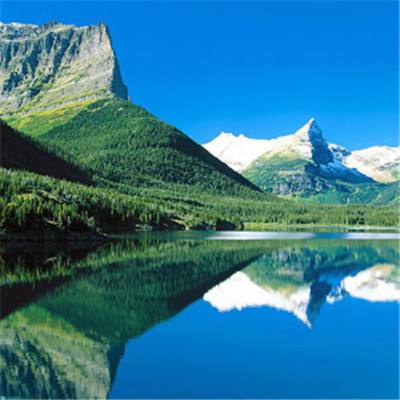 365平台下载手机app下载